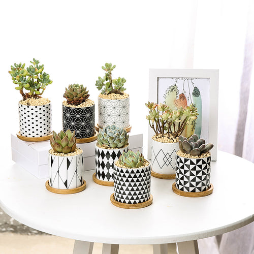 Modern Geometric Pattern Ceramics Flower Pot  for Succulent Plant Nordic Style Planter Pot Home Garden Office Decoration