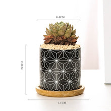 Load image into Gallery viewer, Modern Geometric Pattern Ceramics Flower Pot  for Succulent Plant Nordic Style Planter Pot Home Garden Office Decoration