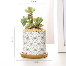 Load image into Gallery viewer, Modern Geometric Pattern Ceramics Flower Pot  for Succulent Plant Nordic Style Planter Pot Home Garden Office Decoration
