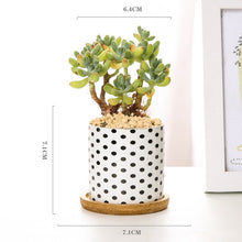 Load image into Gallery viewer, Modern Geometric Pattern Ceramics Flower Pot  for Succulent Plant Nordic Style Planter Pot Home Garden Office Decoration