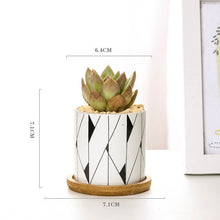 Load image into Gallery viewer, Modern Geometric Pattern Ceramics Flower Pot  for Succulent Plant Nordic Style Planter Pot Home Garden Office Decoration