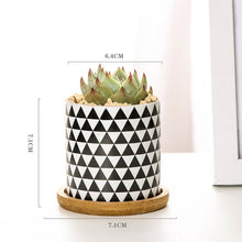 Load image into Gallery viewer, Modern Geometric Pattern Ceramics Flower Pot  for Succulent Plant Nordic Style Planter Pot Home Garden Office Decoration