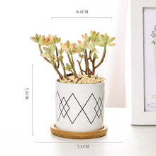 Load image into Gallery viewer, Modern Geometric Pattern Ceramics Flower Pot  for Succulent Plant Nordic Style Planter Pot Home Garden Office Decoration