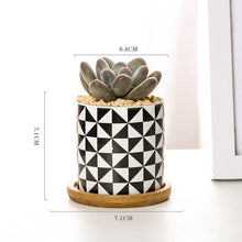 Load image into Gallery viewer, Modern Geometric Pattern Ceramics Flower Pot  for Succulent Plant Nordic Style Planter Pot Home Garden Office Decoration