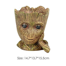 Load image into Gallery viewer, Succulent Plants Planter Flowerpot Resin Flower Pot Desktop Potted Holder Home Garden Decoration Plants Holder
