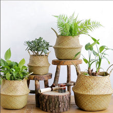 Load image into Gallery viewer, S/M/L Seagrass Wickerwork Basket Rattan Foldable Hanging Flower Pot Planter Woven Dirty Laundry Hamper Storage Basket Home Decor